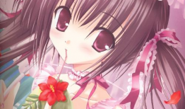 写少女漫画,少女心动的梦幻世界